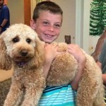 Therapy dog and patient