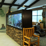 Aquarium in Waiting Area at Alpharetta Pediatric Denist