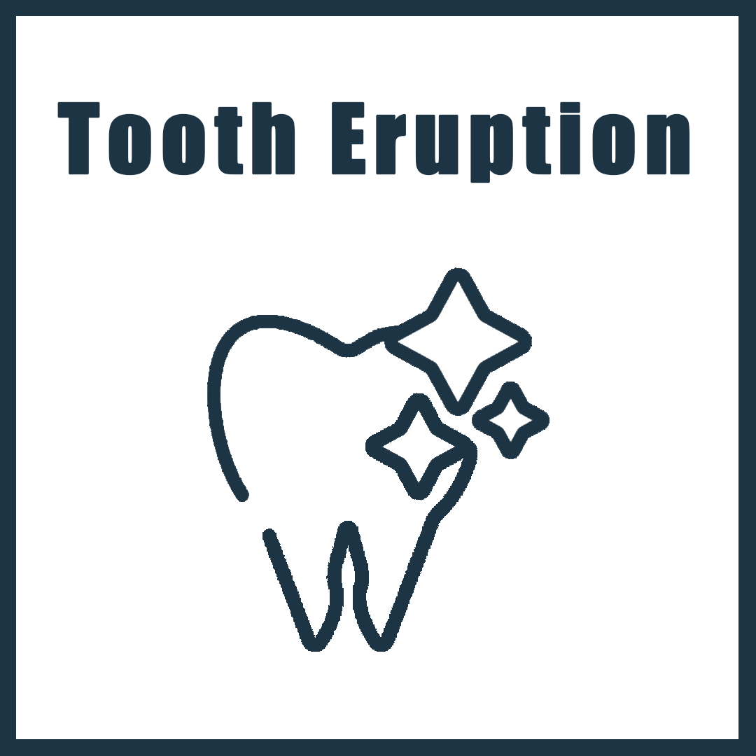 tooth_eruption